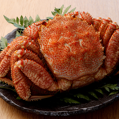 毛ガニイメージ